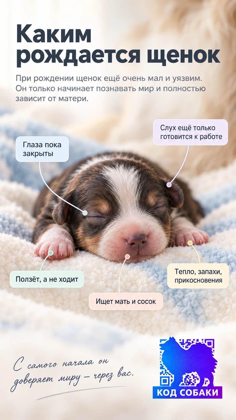 Новорождённый щенок рядом с матерью