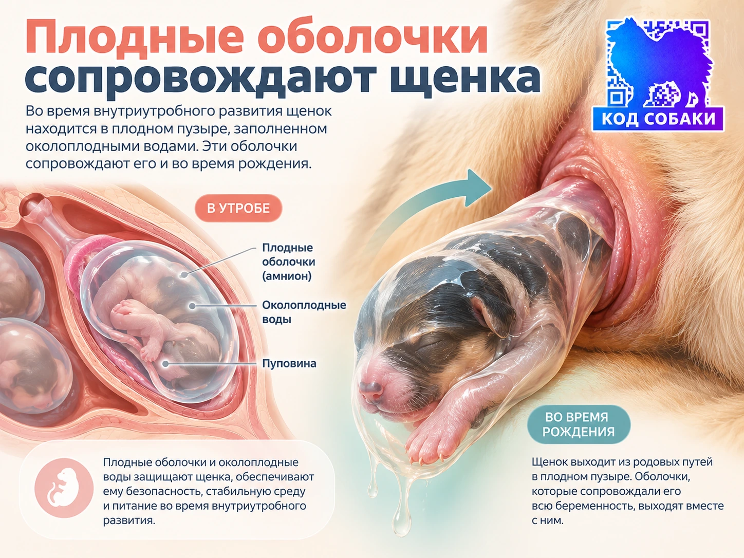 Иллюстрация к разделу «Самое важное произойдёт в первые минуты»