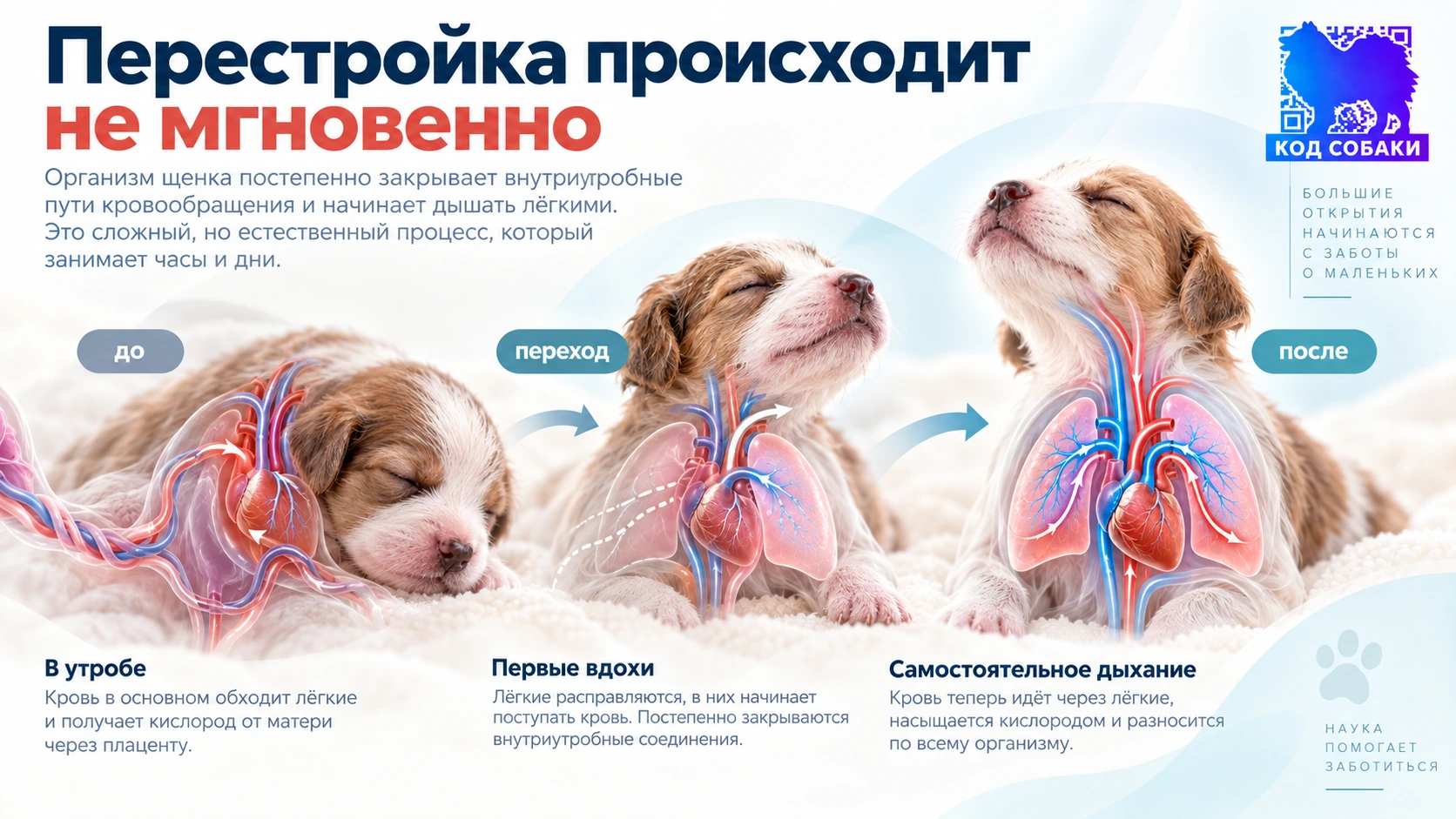 Иллюстрация к разделу «Перестройка происходит не мгновенно»