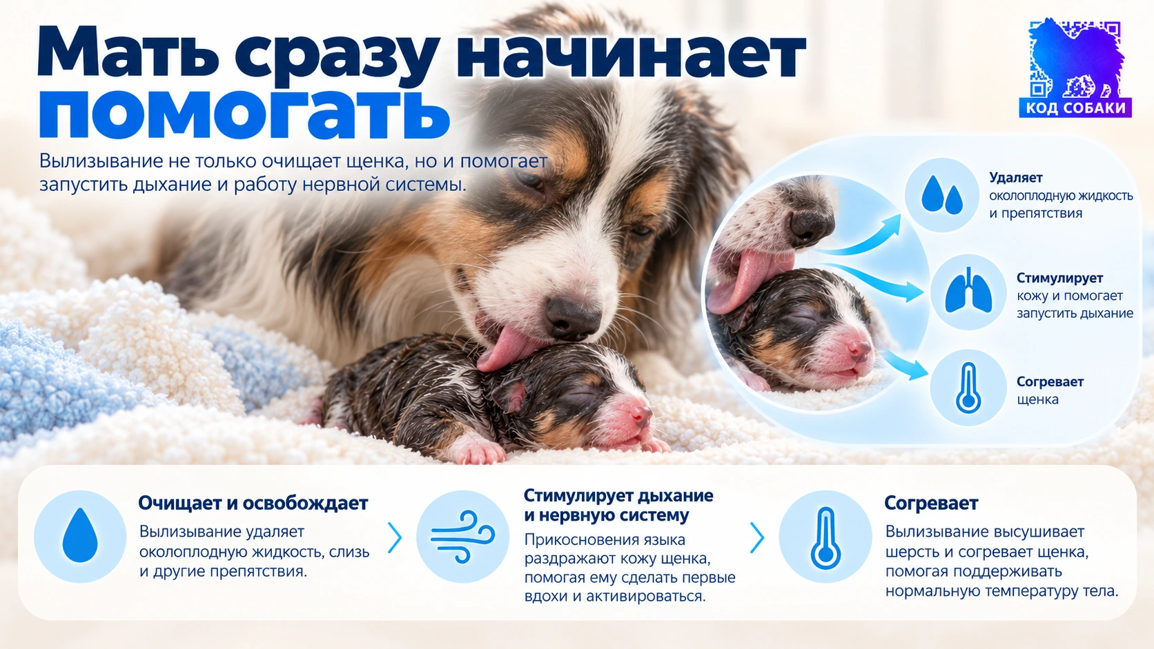 Иллюстрация к разделу «Мать сразу начинает помогать»