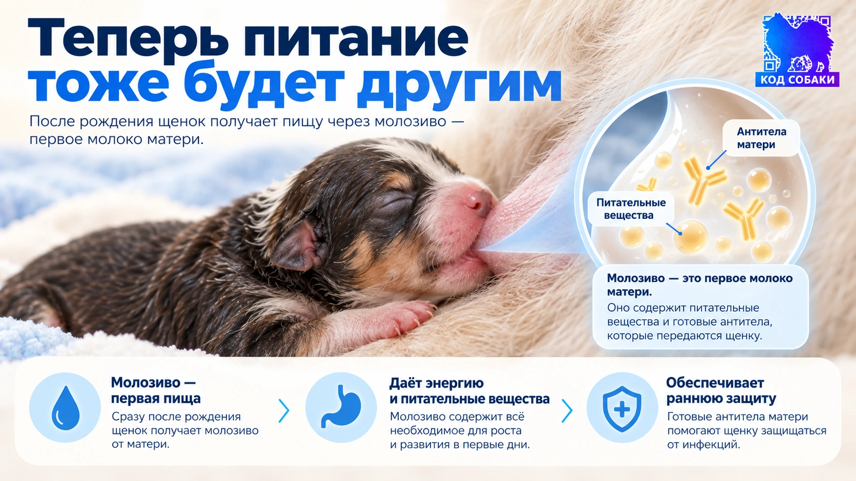 Иллюстрация к разделу «Теперь питание тоже будет другим»