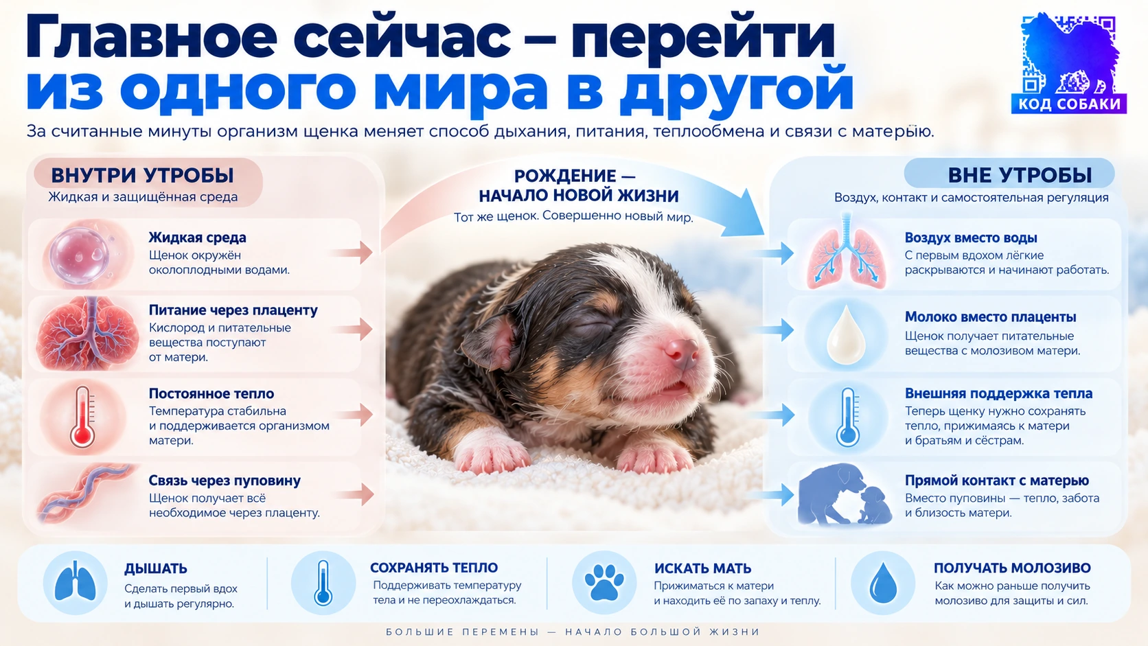 Иллюстрация к разделу «Главное сейчас — перейти из одного мира в другой»