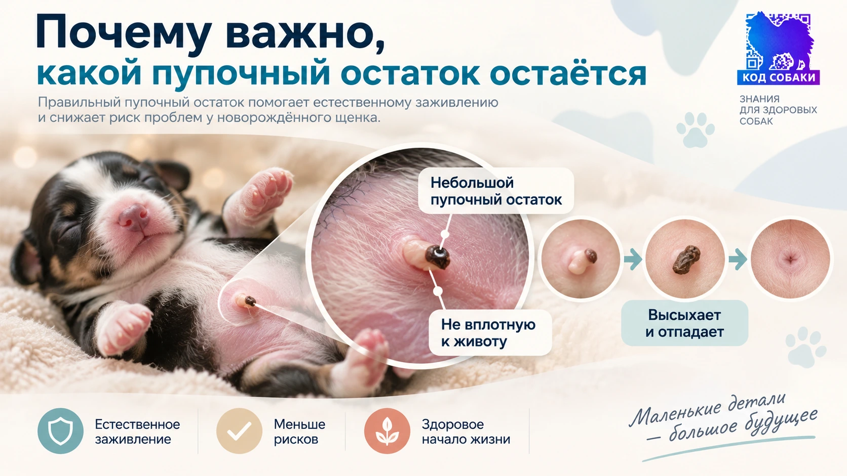 Иллюстрация к разделу «Почему важно, какой пупочный остаток остаётся»